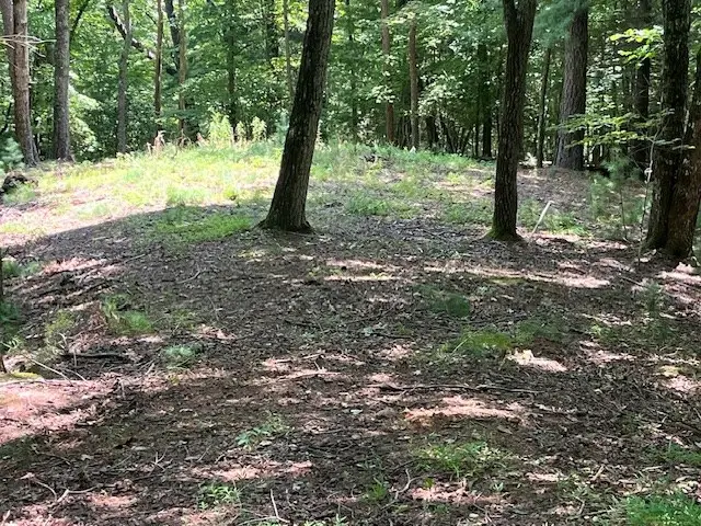 Lot 11 Laurel Mountain Road, Brasstown, NC 28904 - Image #3