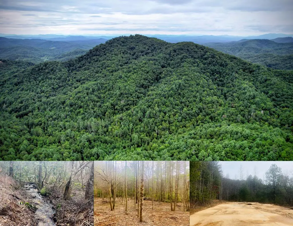 0 Flea Mountain Road, Murphy, NC 28906 - Image #1