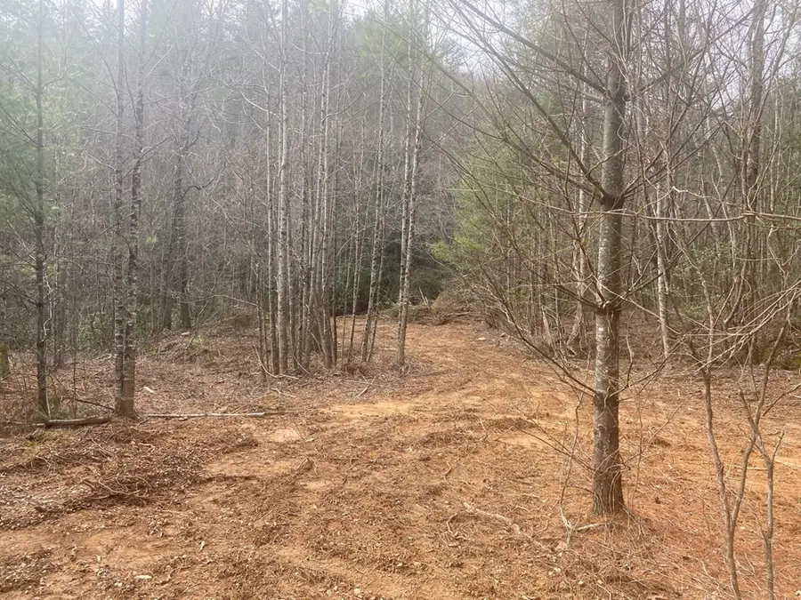 0 Flea Mountain Road, Murphy, NC 28906 - Image #3