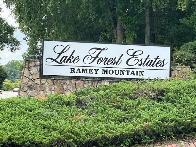 Lot 12 Forest View Drive, Hiawassee, GA 30546 - Image #2