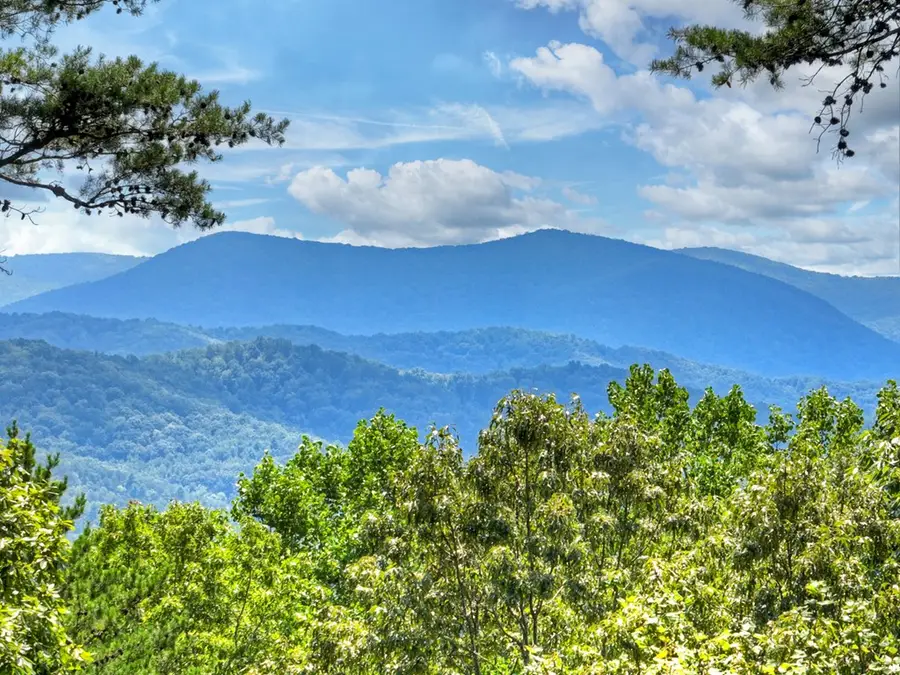 120 Foxfire Road, Blue Ridge, GA 30513 - #3