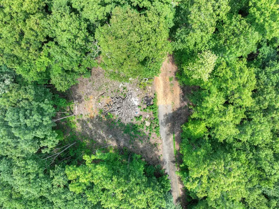 Lot 12 The Heights, Blue Ridge, GA 30513 - Image #2