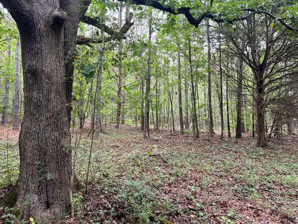 300 NW Timberwood Road, White, GA 30184 - Image #1