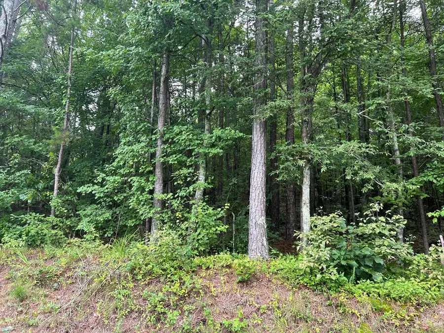 119 NW Kirk Road, White, GA 30184 - #2