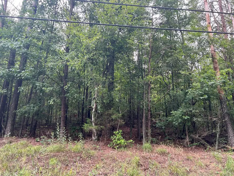 119 NW Kirk Road, White, GA 30184 - #3