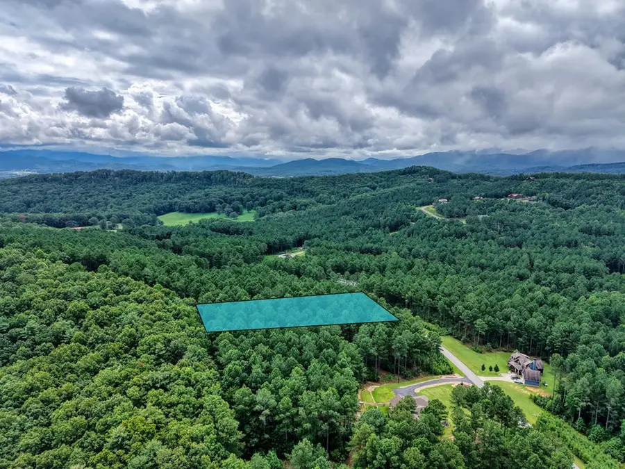 Lot 169 Thirteen Hundred, Blairsville, GA 30512 - Image #2