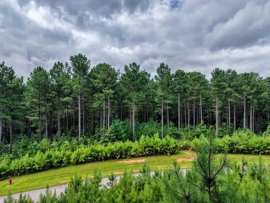 Lot 169 Thirteen Hundred, Blairsville, GA 30512 - Image #3