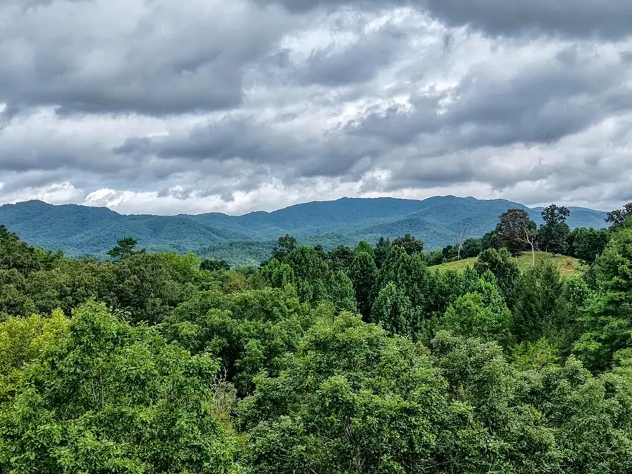 42 Wellington Drive, Marble, NC 28905 - #3