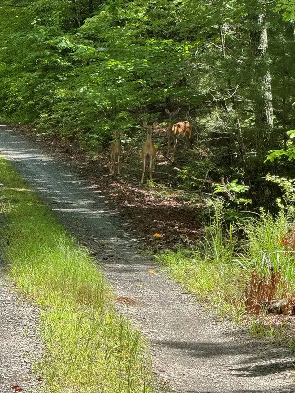 00 Right Field Drive, Murphy, NC 28906