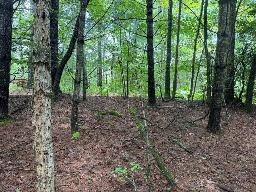 00 Right Field Drive, Murphy, NC 28906 - Image #2