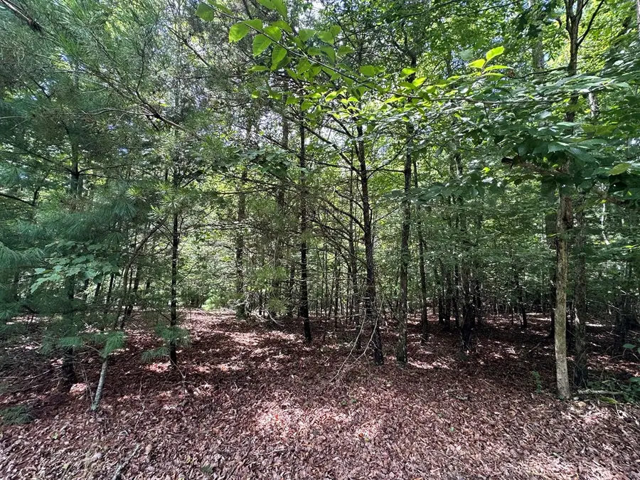 95 Rabbit Knob Drive, Young Harris, GA 30582 - Image #3