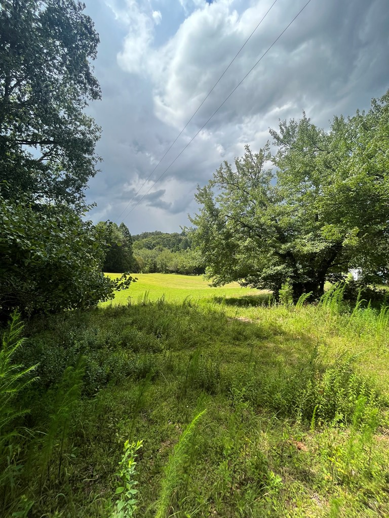 6874 Murphy Hwy, Mineral Bluff, GA 30559 - Image #2