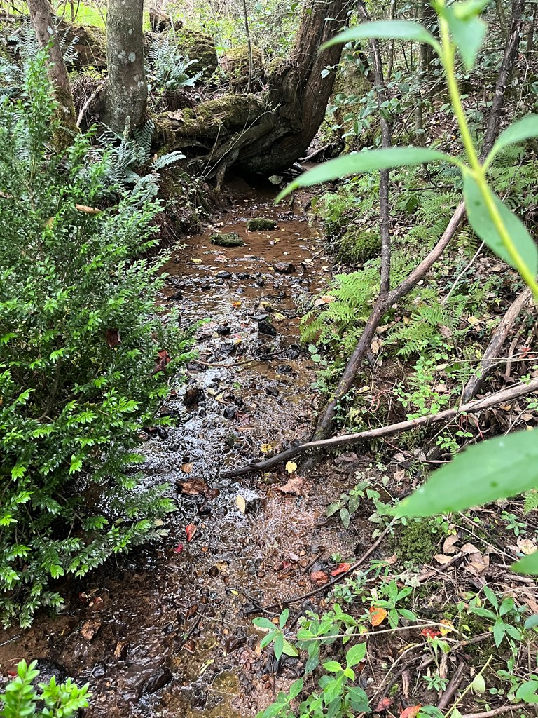 6874 Murphy Hwy, Mineral Bluff, GA 30559 - Image #3