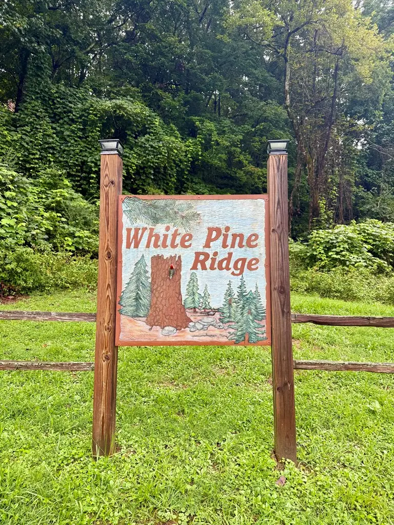 Lot 15 White Pine Drive, Hayesville, NC 28904 - Image #3