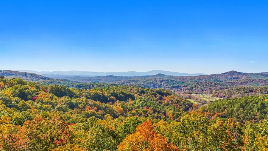 226 Round Top Road, Mineral Bluff, GA 30559 - #3