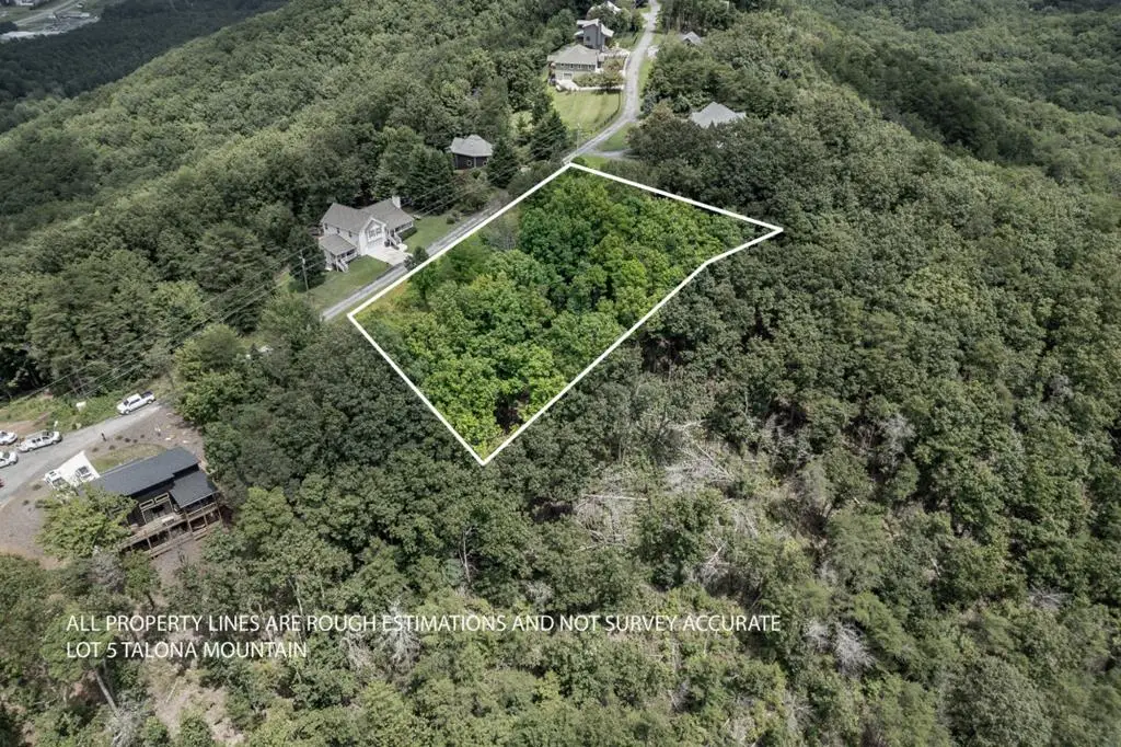 Lot T-5 Talona Mountain Road, Ellijay, GA 30563 - #1