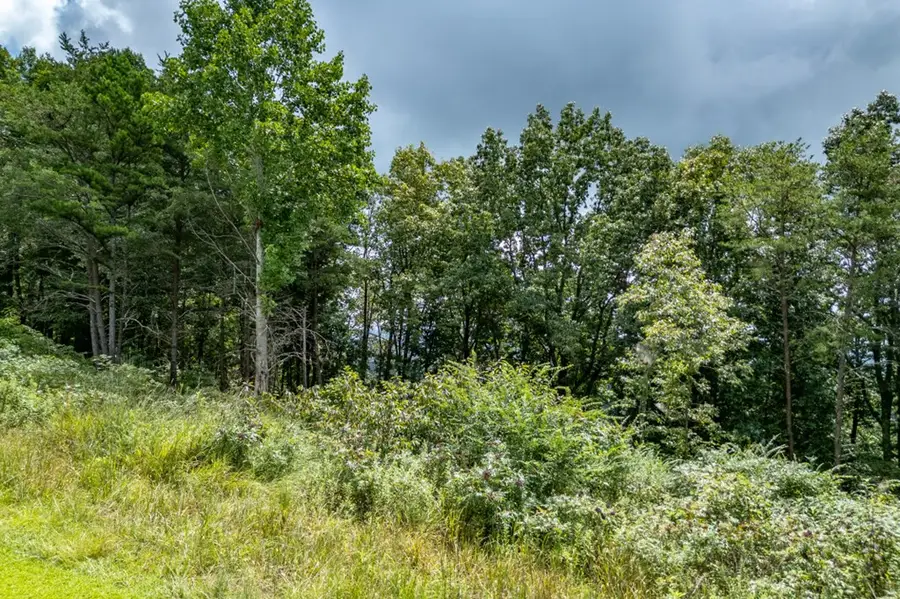 Lot T-5 Talona Mountain Road, Ellijay, GA 30563 - #3