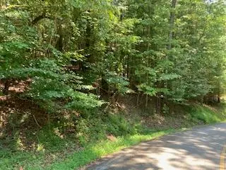 Lt 914 Villa Drive, Ellijay, GA 30540 - Image #2