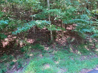 Lt 914 Villa Drive, Ellijay, GA 30540 - Image #3