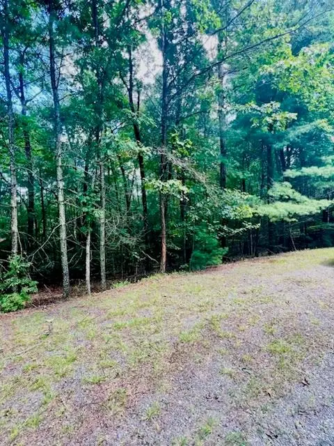Lot 42 Squirrel Hunting Road, Ellijay, GA 30540 - #1