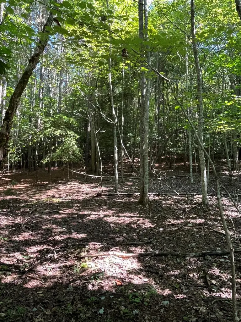 Lot 17 Hidden Branch Drive, Young Harris, GA 30582 - Image #1