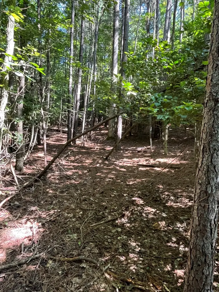 Lot 17 Hidden Branch Drive, Young Harris, GA 30582 - Image #2