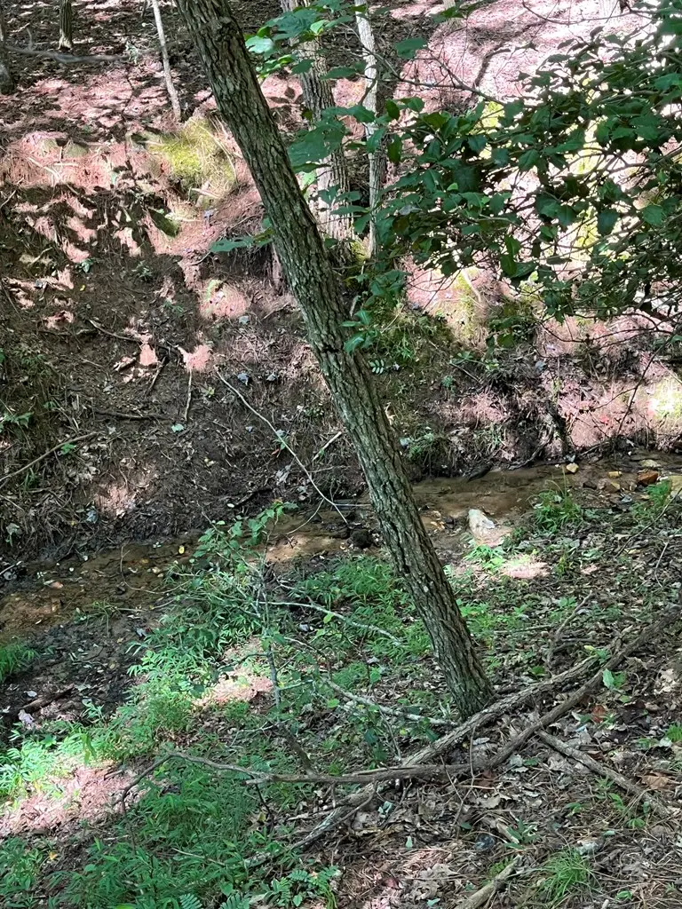 Lot 17 Hidden Branch Drive, Young Harris, GA 30582 - Image #3