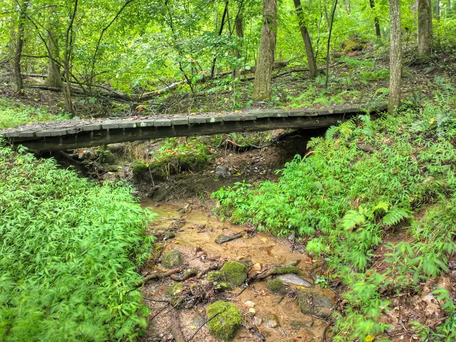 430 Chestnut Ridge, Blue Ridge, GA 30513 - Image #3