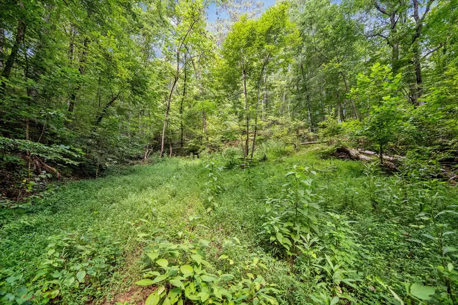 3.11 AC Cove Road, Jasper, GA 30143 - Image #3