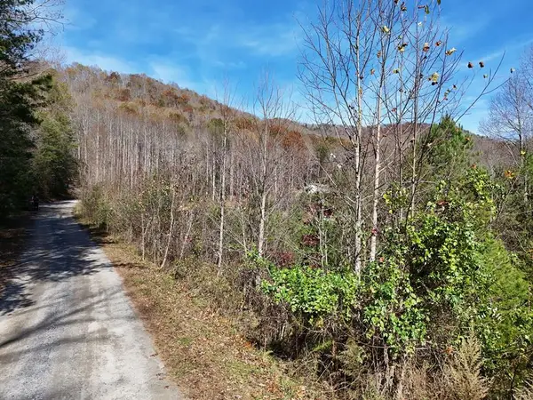 Lot 2A Wildwood, Hayesville, NC 28904