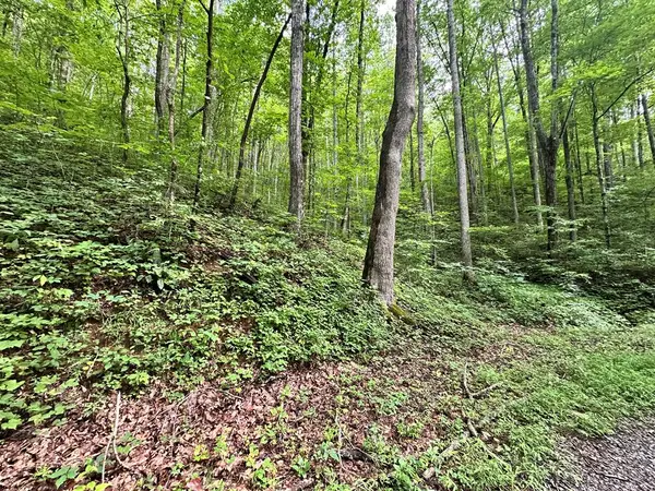 Lot 19 Burnt Leaf, Hayesville, NC 28904