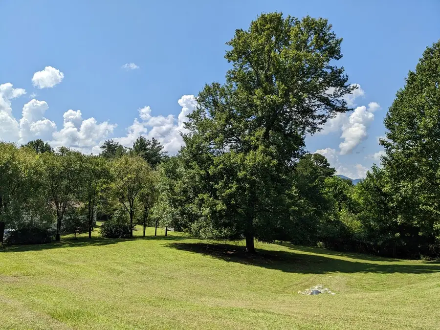 283 Bobcat Lane, Warne, NC 28909 - Image #3