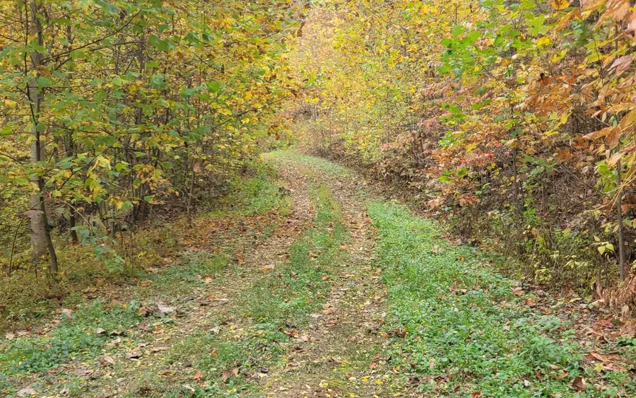 14 AC Old Burnt Mountain, Ellijay, GA 30540 - #2