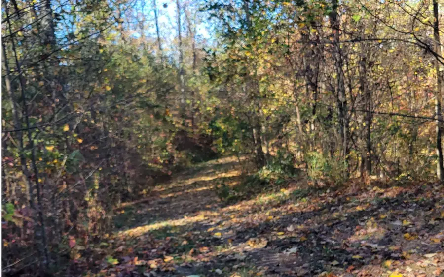 14 AC Old Burnt Mountain, Ellijay, GA 30540 - #3