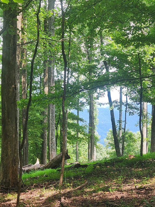 LT M212E Walnut Ridge, Ellijay, GA 30540