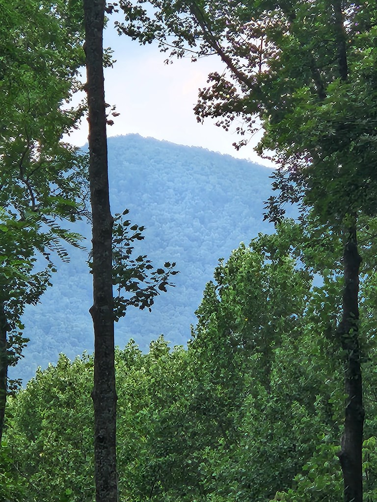 LT M212E Walnut Ridge, Ellijay, GA 30540 - Image #2