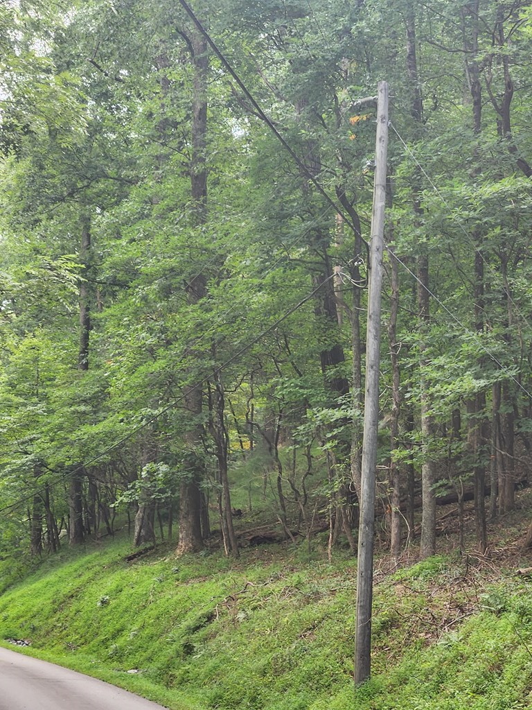 LT M212E Walnut Ridge, Ellijay, GA 30540 - Image #3