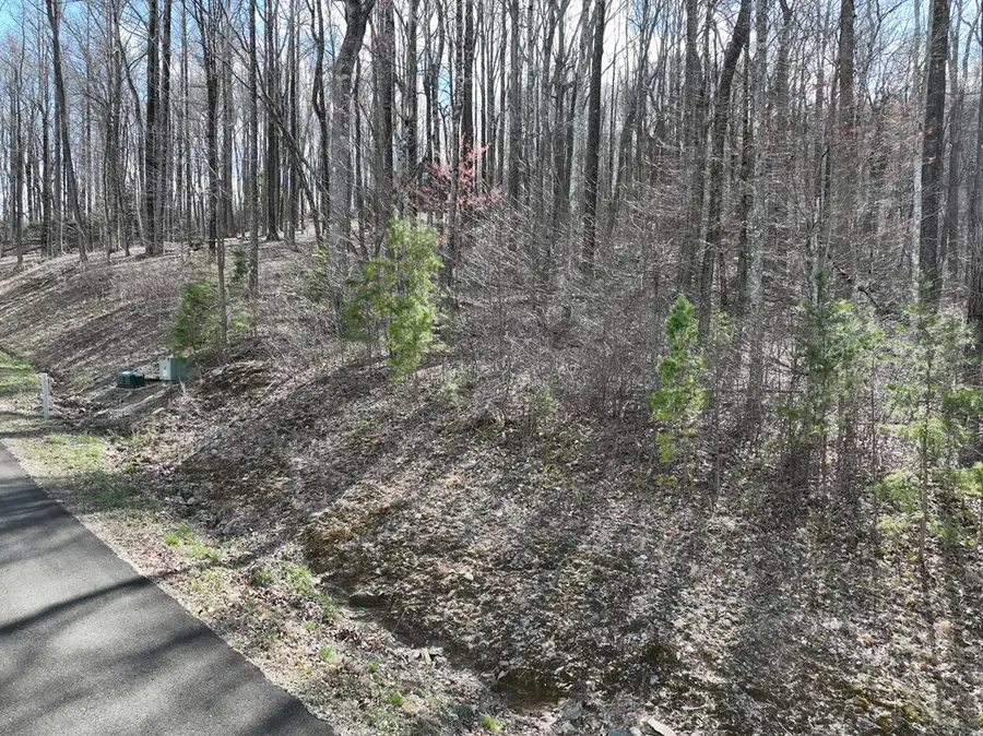 270r Stone Cliff Drive, Ellijay, GA 30536 - #2