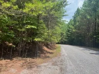 na Emelia Road, Morganton, GA 30560 - Image #3