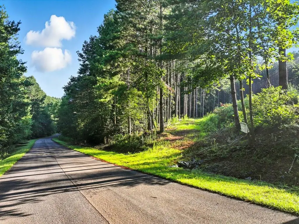 31&32 Foxpaw Leaf Lane, Ellijay, GA 30536 - #1