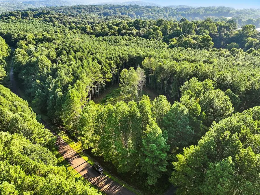 31&32 Foxpaw Leaf Lane, Ellijay, GA 30536 - #2