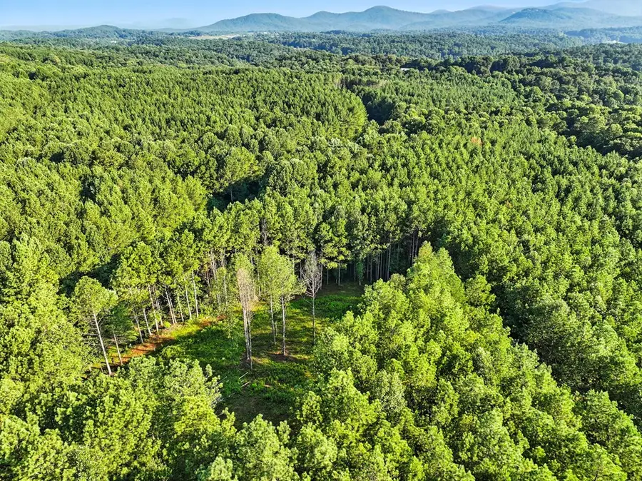 31&32 Foxpaw Leaf Lane, Ellijay, GA 30536 - #3