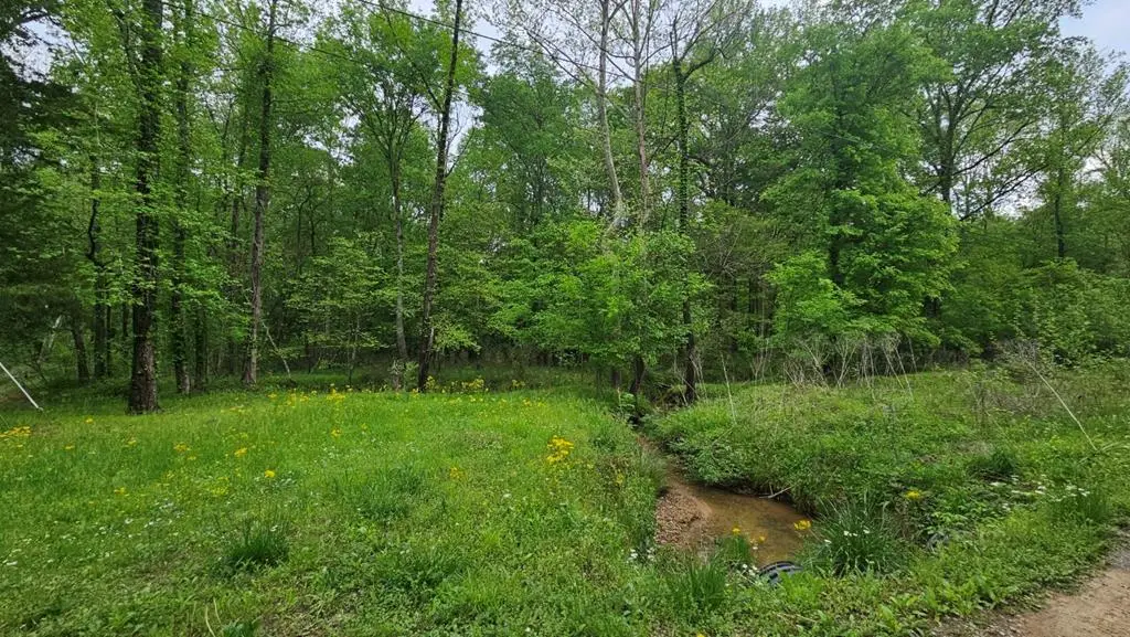 7237 Hwy 225s, Chatsworth, GA 30705 - Image #1