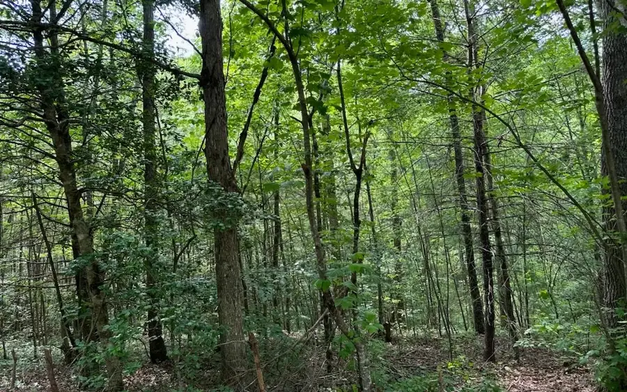 0 Bluffs Of Cartecay, Ellijay, GA 30536 - Image #2