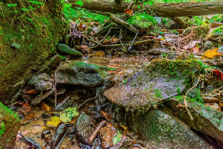 Lot 26 Foxpaw Leaf Lane, Ellijay, GA 30536 - Image #3