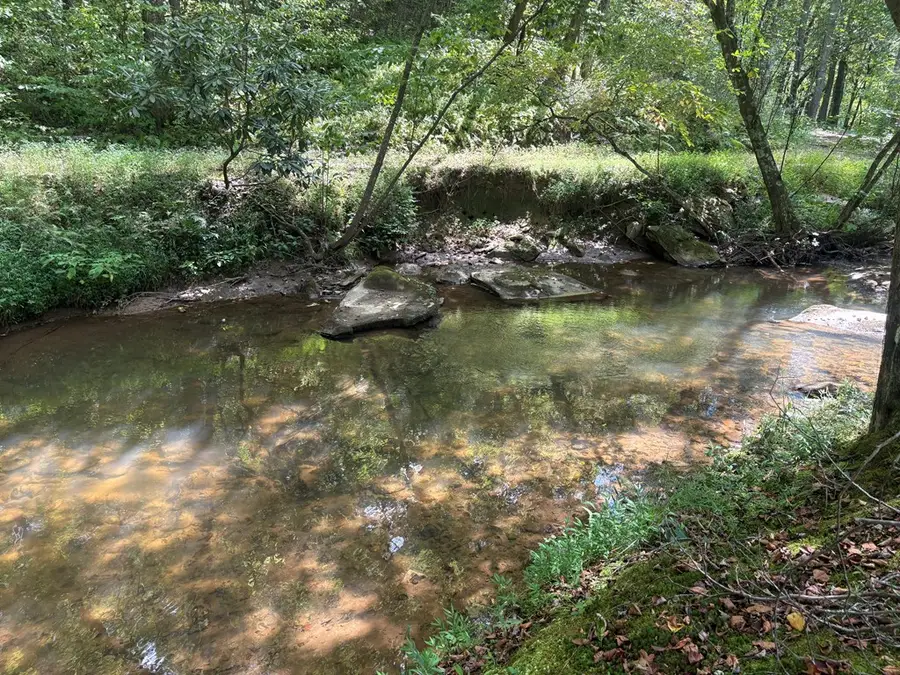 141 Friendship Lane, Mineral Bluff, GA 30559 - Image #2