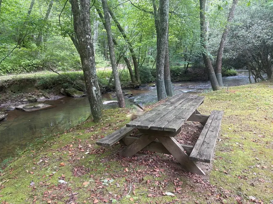 141 Friendship Lane, Mineral Bluff, GA 30559 - Image #3