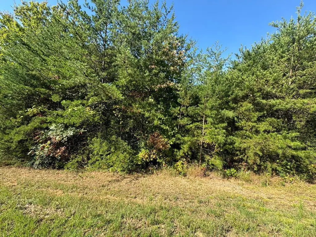 115 Blackhawk Lane, Turtletown, TN 37391 - Image #1