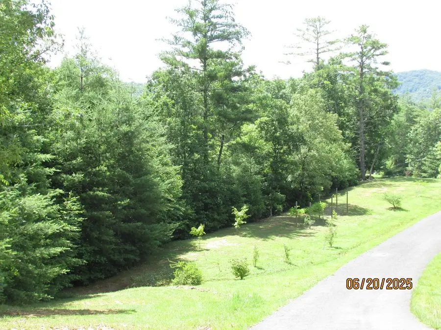 #10 Shelton Springs S/d, Hayesville, NC 28904 - Image #2