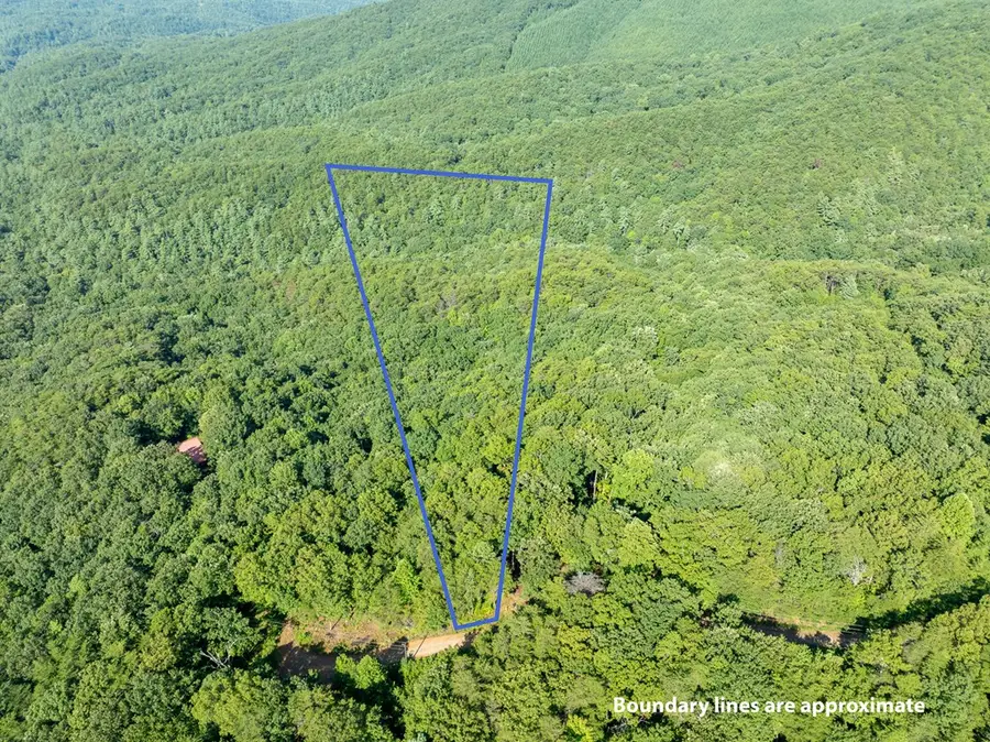 Lot 9 Brushy Top Drive, Chatsworth, GA 30705 - #2